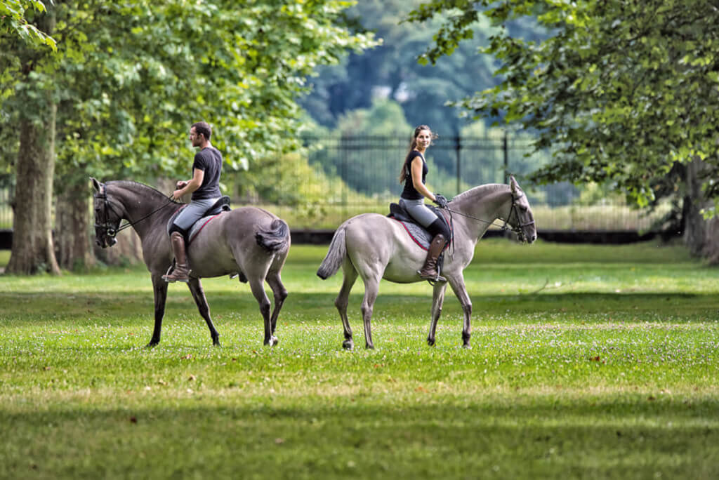 À cheval dans le Grand Parc