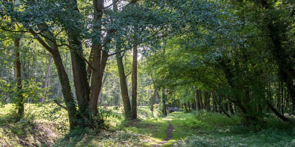 ru de Gally Les de Versailles