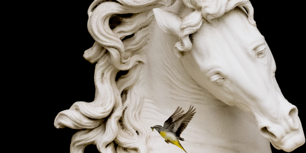 Jérémie Villet Les de Versailles